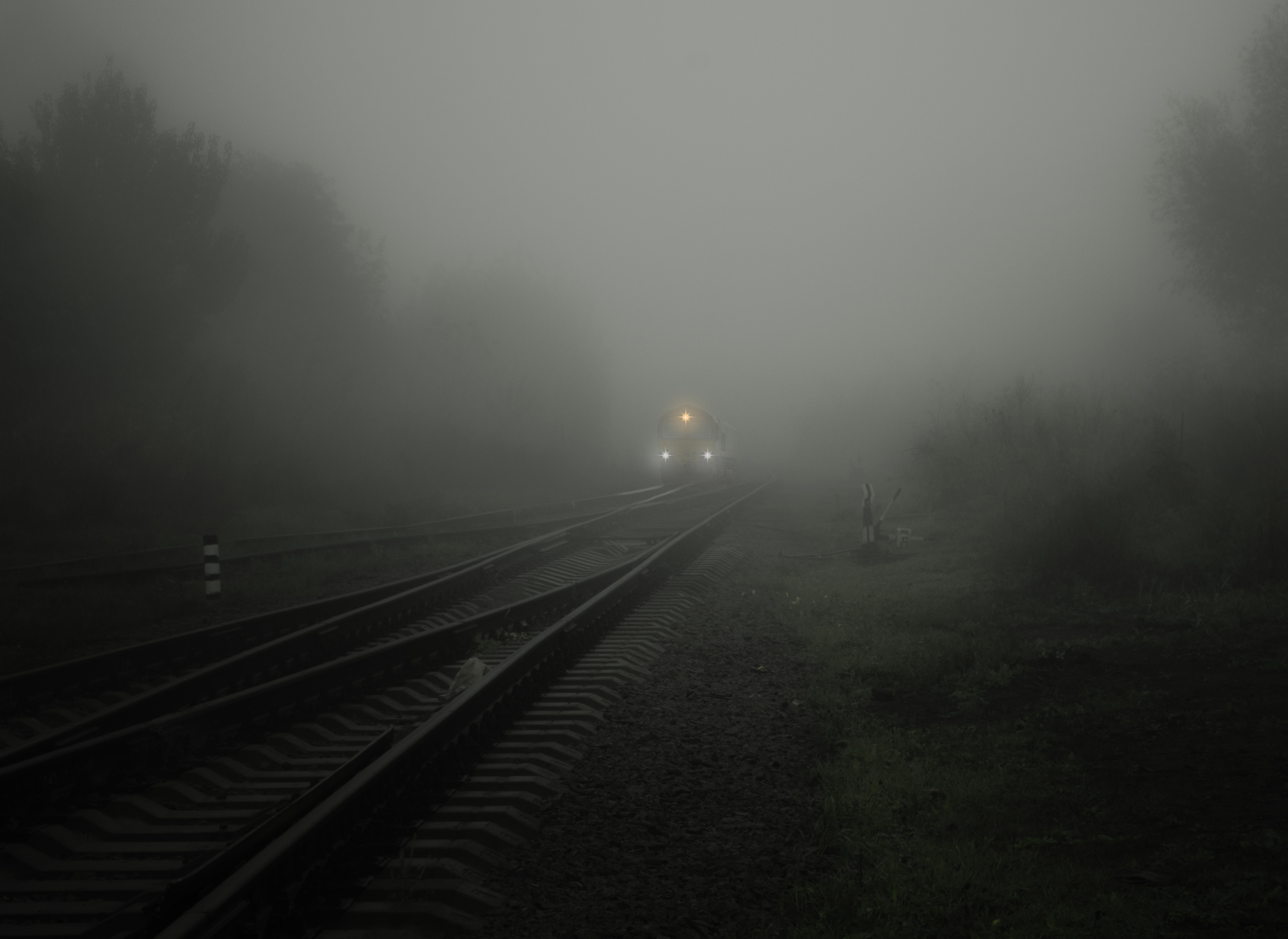 Train Lights on a Foggy Day